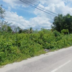 [DIJUAL] Tanah SHM di Kota Palangka Raya